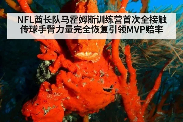 NFL酋长队马霍姆斯训练营首次全接触传球手臂力量完全恢复引领MVP赔率