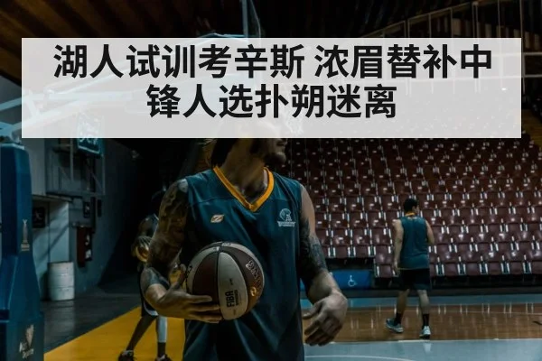湖人试训考辛斯 浓眉替补中锋人选扑朔迷离